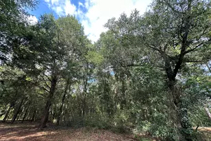 Parcel B Oakcrest Dr, Crestview, FL 32539 - Photo 1