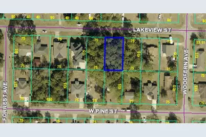 Tbd Lakeview Street, Mary Esther, FL 32569 - Photo 1