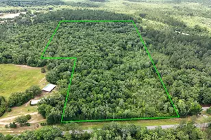 Tbd Douglas Ferry Rd, Caryville, FL 32427 - Photo 1