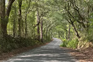 81 1+/- Ac Old River Rd, Baker, FL 32531 - Photo 1