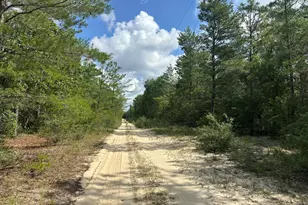 20 Ac+/- Shot Gun Trail, Crestview, FL 32539 - Photo 1