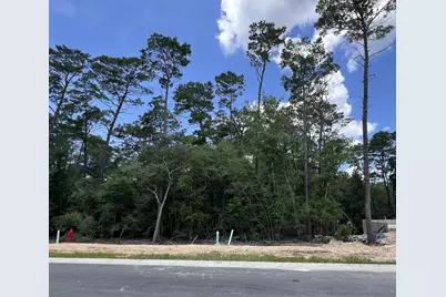 239 Foxglove Run, Niceville, FL 32578 - Photo 1