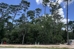 239 Foxglove Run, Niceville, FL 32578 - Photo 1