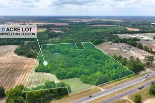 19 Acres Hwy 231, Cottondale, FL 32431 - Photo 1