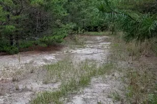 00 Chief Bragg Dr, Freeport, FL 32439 - Photo 1