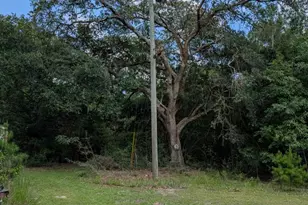 000 Chief Bragg Dr, Freeport, FL 32439 - Photo 1