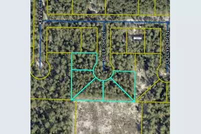 Tbd Billfish Court, Defuniak Springs, FL 32433 - Photo 1