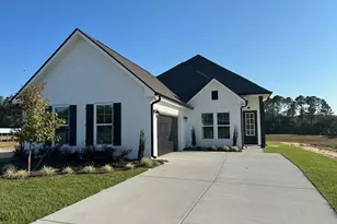 118 Tadpole Pl, Freeport, FL 32439 - Photo 1