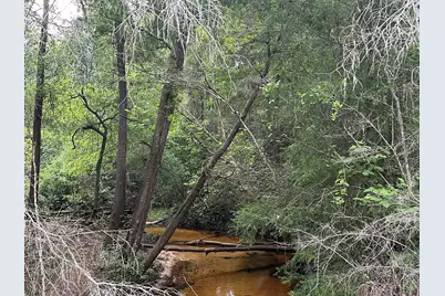 33+/- Ac Keyser Mill Road, Baker, FL 32531 - Photo 1