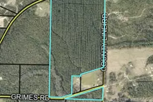 72 Acres Grimes Rd, Laurel Hill, FL 32567 - Photo 1