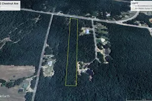 1359 E Chestnut Ave E, Crestview, FL 32539 - Photo 1