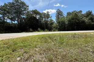 Lots 32_33 Blk 25 Trout Road Dr, Defuniak Springs, FL 32433 - Photo 1