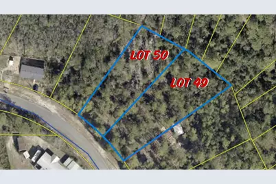 Lots 49/50 Trout Drive, Defuniak Springs, FL 32433 - Photo 1