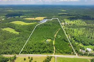 691 E Indian Creek Ranch Road E, Defuniak Springs, FL 32435 - Photo 1