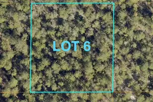 Lot 6 Margaret Blvd, Defuniak Springs, FL 32433 - Photo 1