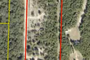 2848 Williams Rd, Defuniak Springs, FL 32433 - Photo 1