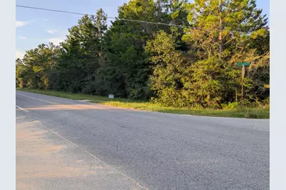 Lot 15 Girl Scout Road, Defuniak Springs, FL 32433 - Photo 1