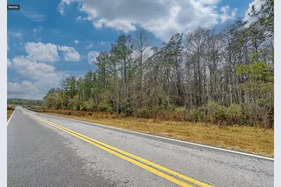 Tract#6409 NE River Road NE, Caryville, FL 32427 - Photo 1