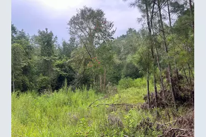 1558 John Eddy Lane, Ponce de Leon, FL 32455 - Photo 1