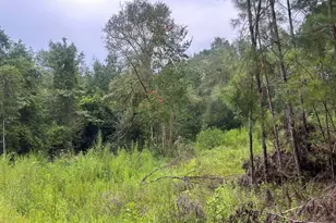 1558 John Eddy Ln, Ponce de Leon, FL 32455 - Photo 1