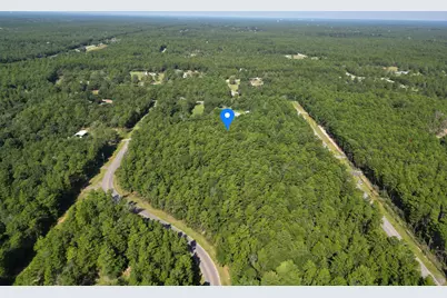 1613 Delaware Road, Defuniak Springs, FL 32433 - Photo 1