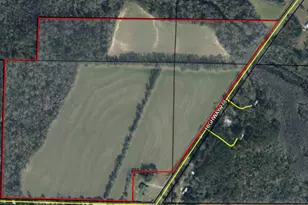 00 Hwy 273, Graceville, FL 32440 - Photo 1