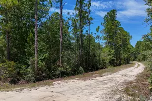 Tbd Joe Dugger Rd, Freeport, FL 32439 - Photo 1