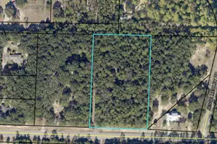 3855 Poverty Creek Rd, Crestview, FL 32539 - Photo 1