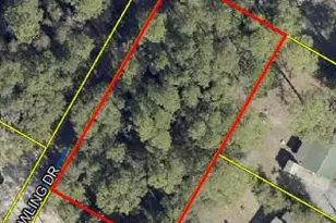 Xxx Nowling Dr, Defuniak Springs, FL 32433 - Photo 1