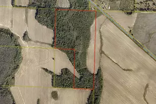 60 95 Acre US Hwy 331 N, Defuniak Springs, FL 32433 - Photo 1