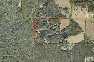 555 Tall Oaks Rd, Defuniak Springs, FL 32435 - Photo 1