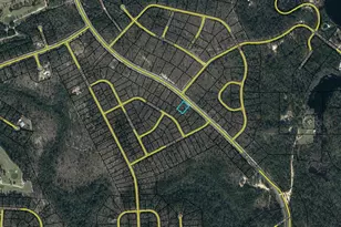 Lot 16 Deltona Blvd, Chipley, FL 32428 - Photo 1