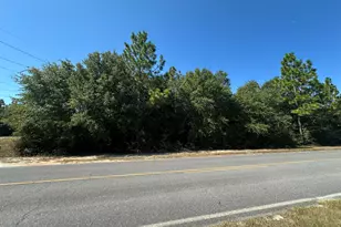 0 Long Rd, Defuniak Springs, FL 32433 - Photo 1