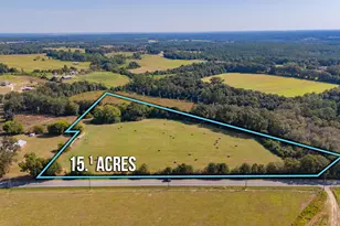 15 1 Acres US Hwy 331 N, Defuniak Springs, FL 32433 - Photo 1
