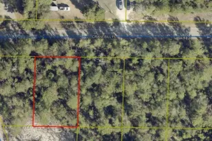 Lot 2 Cranebill Pl, Defuniak Springs, FL 32433 - Photo 1