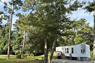 80 Palmetto Ave, Freeport, FL 32439 - Photo 1