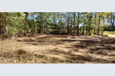 1480 Clayton Lane, Westville, FL 32464 - Photo 1