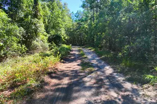 Lot 6 Olivia Ln, Milton, FL 32583 - Photo 1