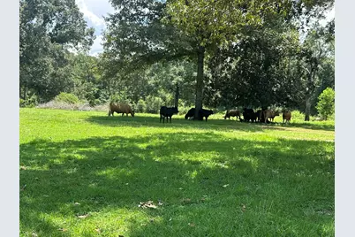 Lot 3 Bullard Road, Milton, FL 32570 - Photo 1