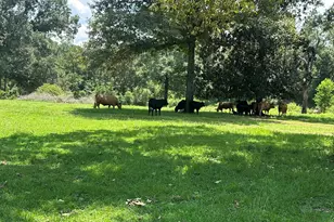 Lot 3 Bullard Rd, Milton, FL 32570 - Photo 1