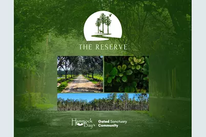 Lot 39 Reserve At Hammock Bay, Freeport, FL 32439 - Photo 1