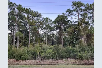 0 N Co Highway 393 #(Lots 8,9,10,11,12,15,16 & 17), Santa Rosa Beach, FL 32459 - Photo 1