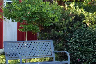 311 McEwen Dr, Niceville, FL 32578 - Photo 1