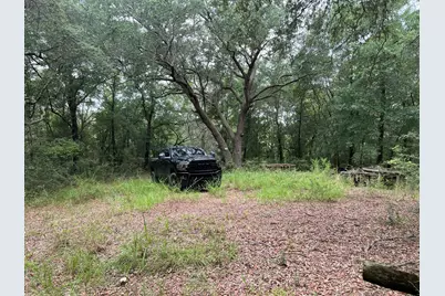 Xxxx Lonesome Pine Street Street, Holt, FL 32564 - Photo 1