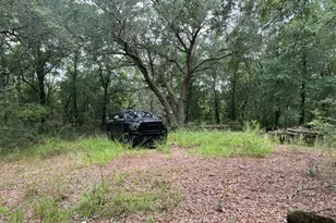 Xxxx Lonesome Pine Street St, Holt, FL 32564 - Photo 1