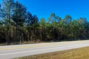 0 Co Hwy 0605, Defuniak Springs, FL 32433 - Photo 1