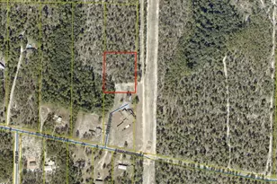 0 Veterans Ln, Freeport, FL 32439 - Photo 1