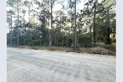 Lots 1,2,3 N 13th Street, Santa Rosa Beach, FL 32459 - Photo 1