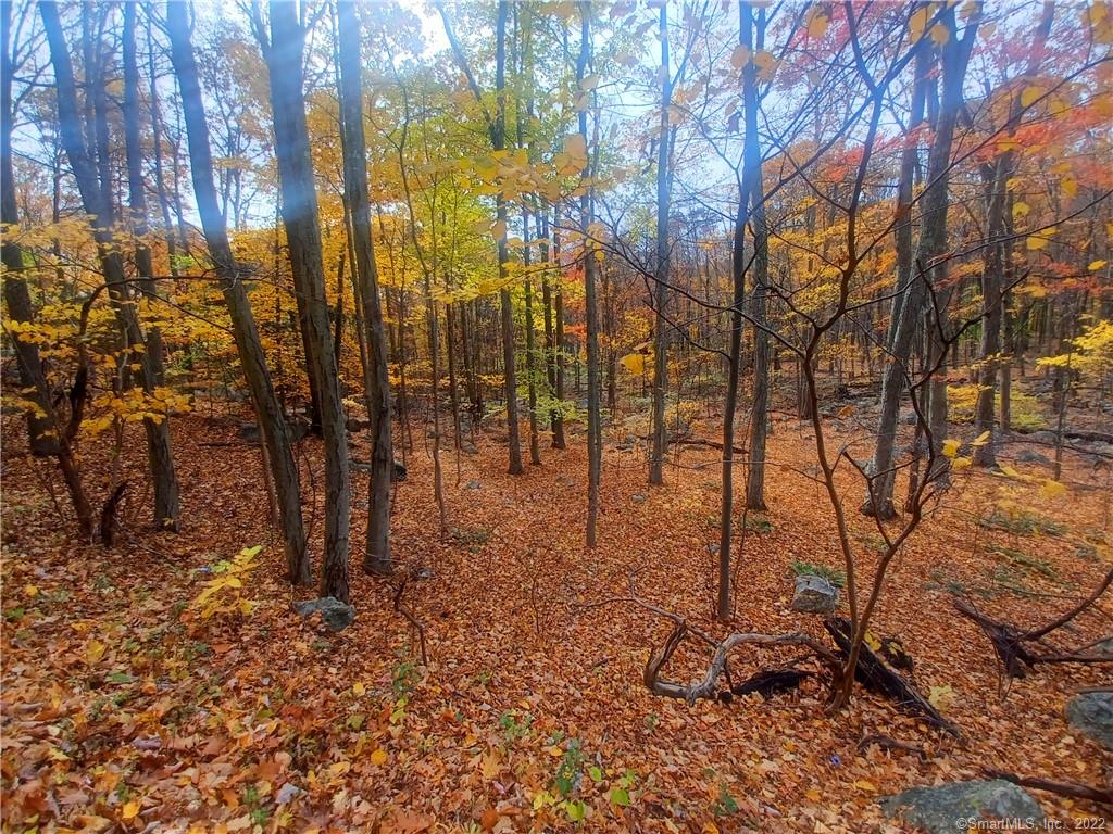 135 Short Woods Rd, New Fairfield, CT 06812 MLS 170533111 Coldwell Banker