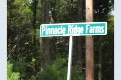 32  Pinnacle Ridge Farms - Photo 1